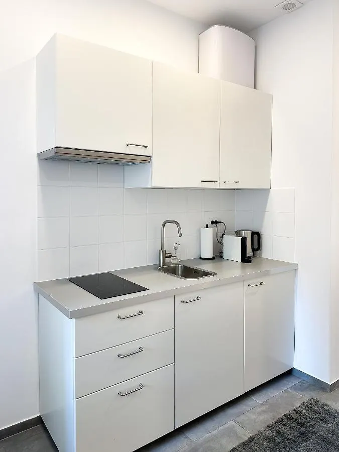 Comfy Apartments At Siebertgasse Vienna