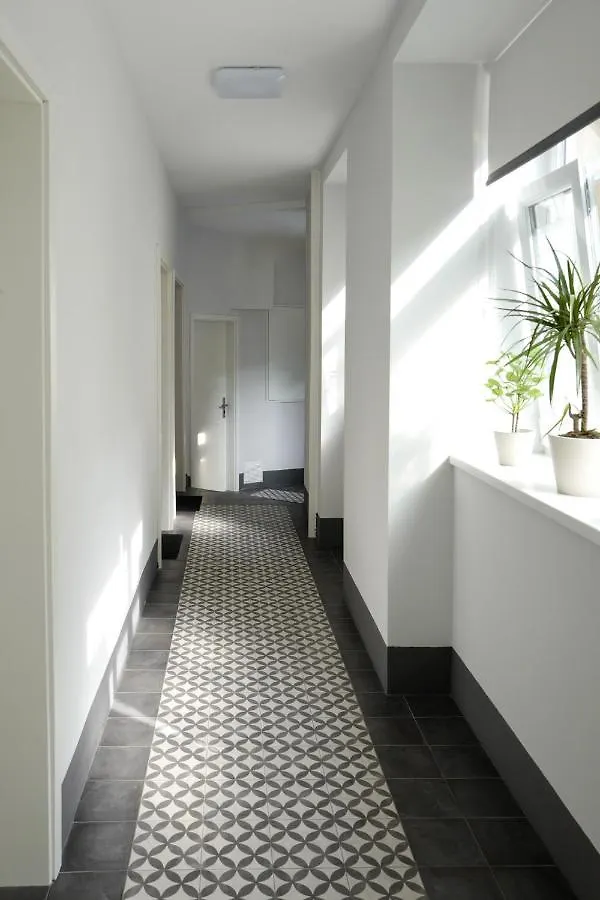 Comfy Apartments At Siebertgasse Viyana Avusturya
